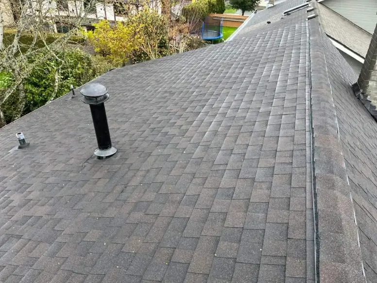 Roof cleaning in Maple Ridge BC with a technician removing moss and dirt from a residential rooftop.