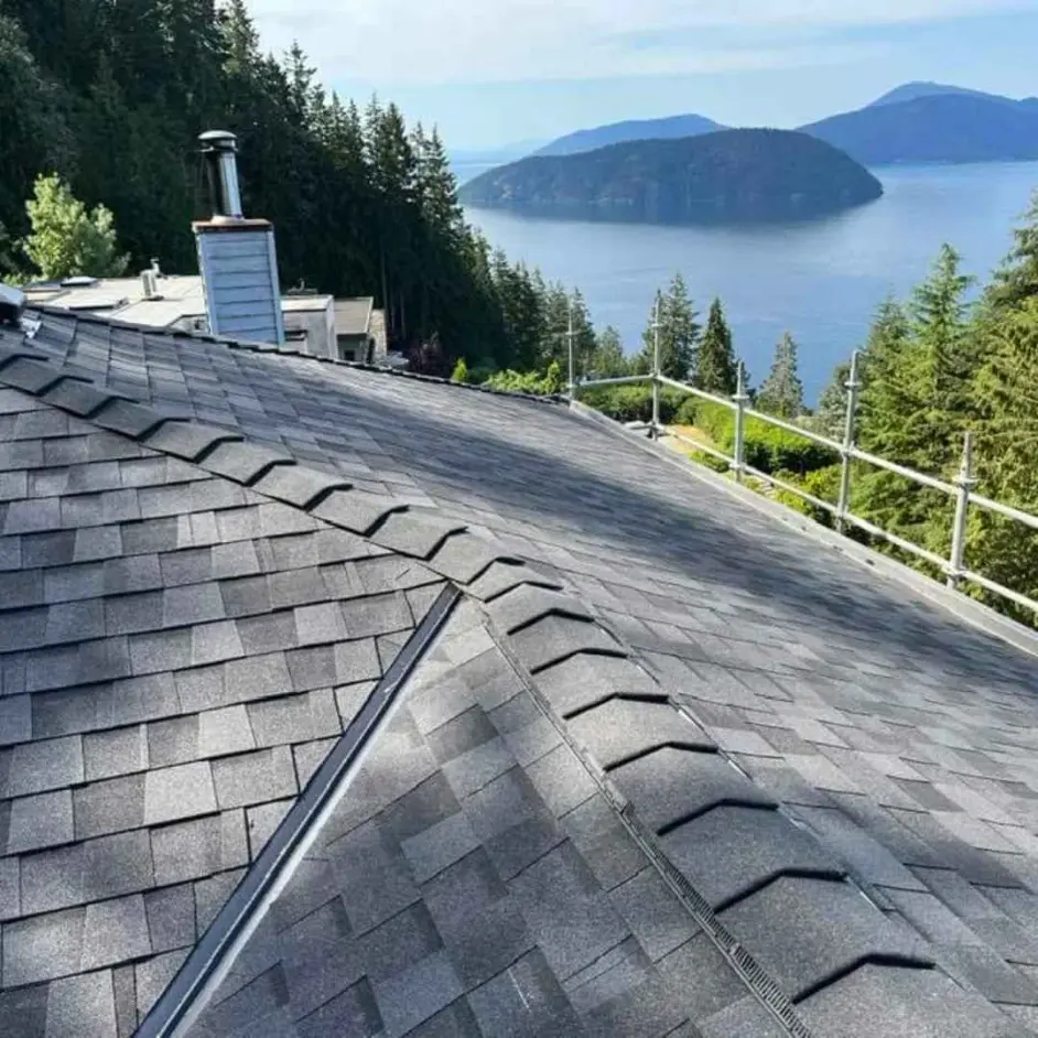 Professional roof cleaning service in Maple Ridge BC removing moss and grime from residential shingles.